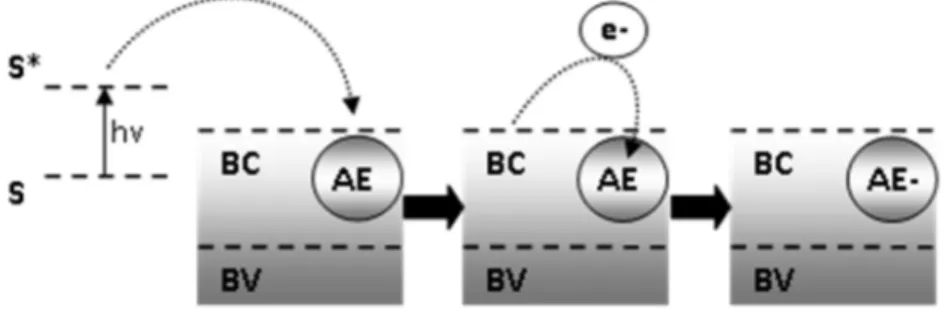 Figura 1.2 Etapas de la excitación con un sensibilizador en presencia de un aceptor  de electrones orgánico