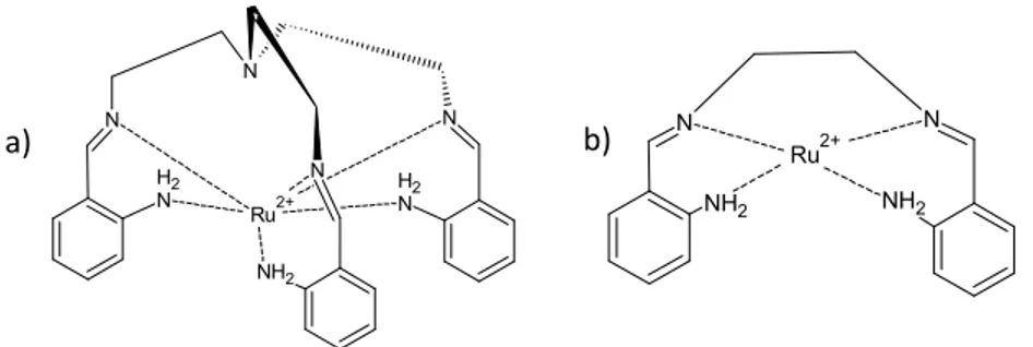 Figura 1.3 Estructura propuesta de los complejos de Ru(II): a) RuL2/Ion N 1 -(2-
