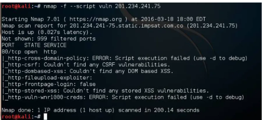 Figura 19. Vulnerabilidades de Servidor Web 
