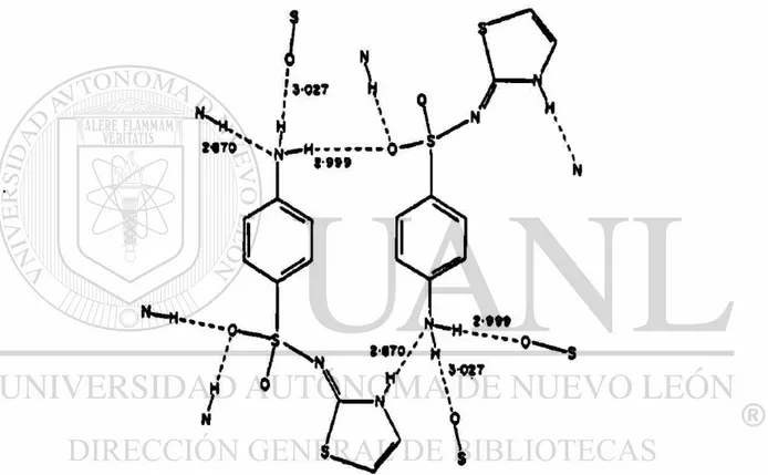 Figura No 3 