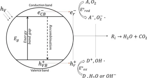 Figure 1. Photocatalytic reaction mechanisms to generate electron-hole pair and reactive oxygen 