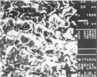 Fig. 4. Imagen de MEB de la superficie de una capa forma- forma-da.