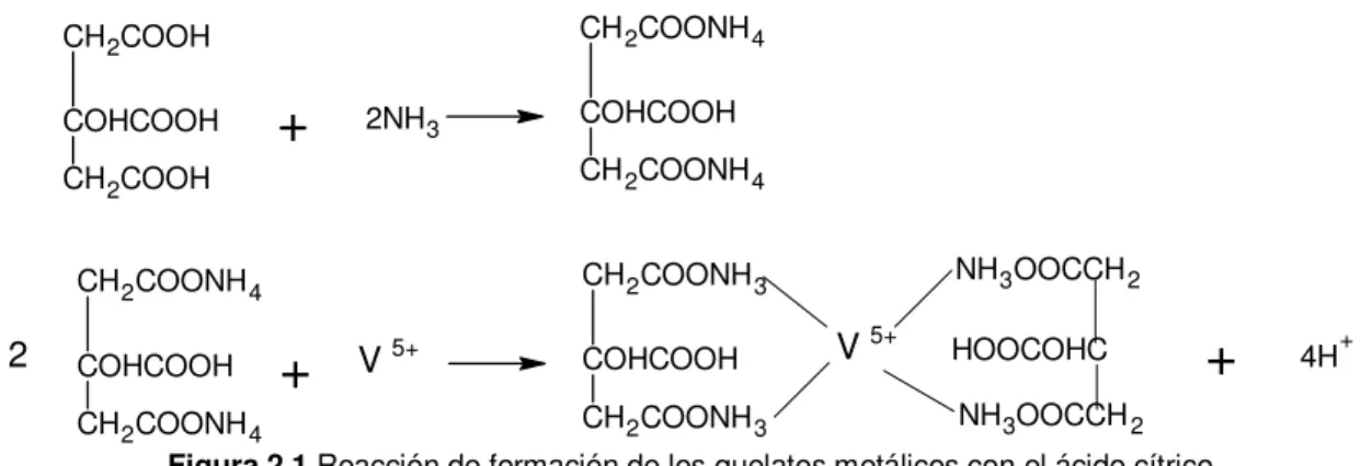 Figura 2.1  Reacción de formación de los quelatos metálicos con el ácido cítrico. 