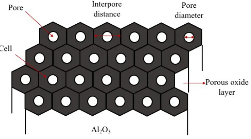 Figure 11. Structure of AAO and its parameters. 