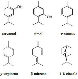 Figura 2.  Estructura química de los componentes mayoritarios del aceite esencial de  Lippia 