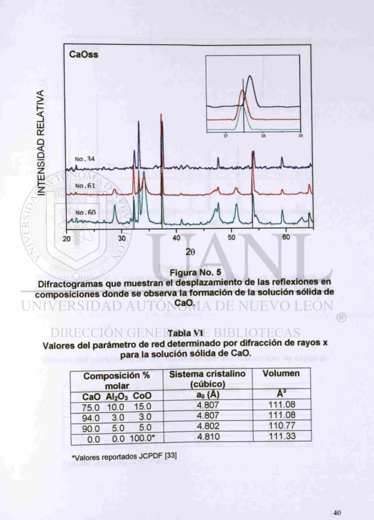 Figura No. 5 