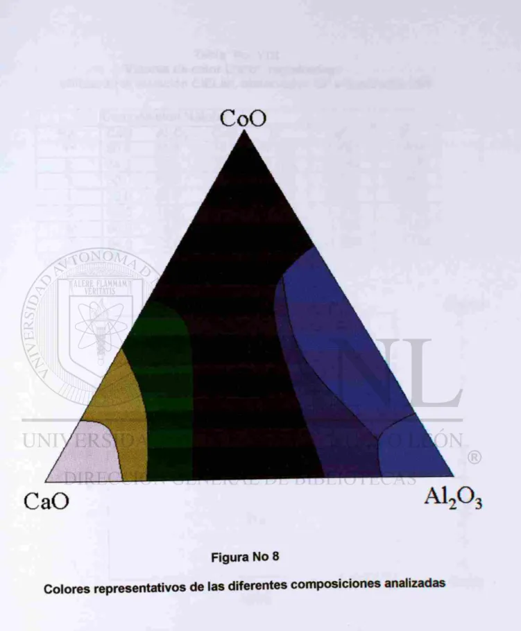 Figura No 8 