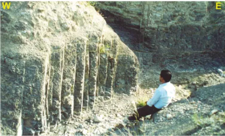 Figura 4. Lutitas altamente fracturadas de la Formación Méndez, localizadas a  1 km al Este del RSM