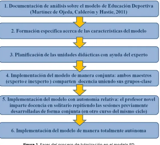 Figura 1. Fases del proceso de tutorización en el modelo ED. 