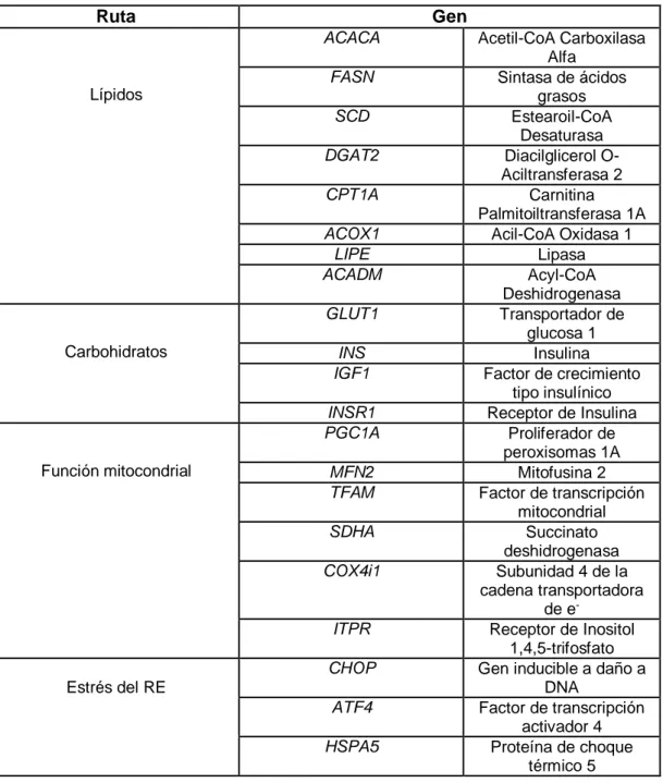 Tabla 5 Listado de genes candidatos y las rutas metabólicas en las que participan.