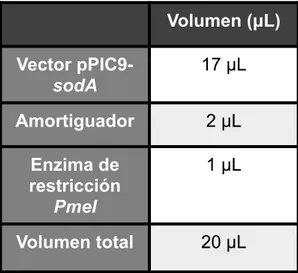 Cuadro 8. Linearización de la construcción pPIC9-sodA. 