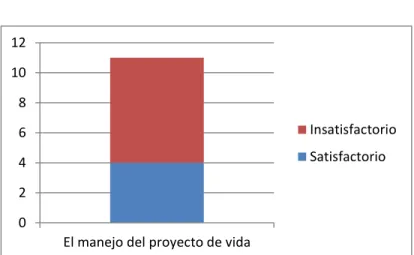 Figura 14  . El manejo de Proyecto de Vida.