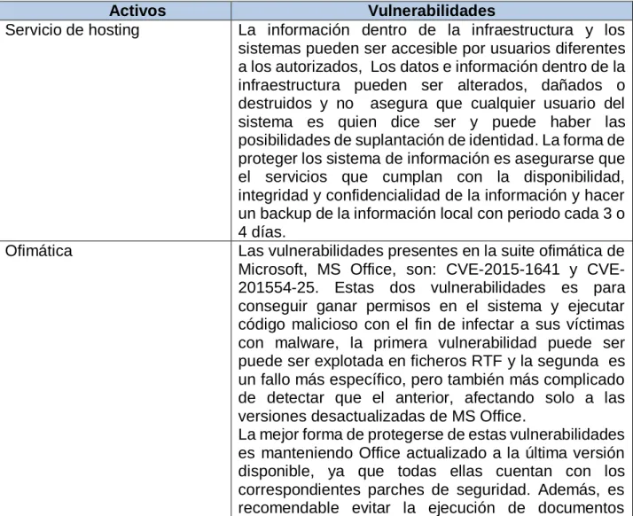 Tabla 8. Identificación de las vulnerabilidades 
