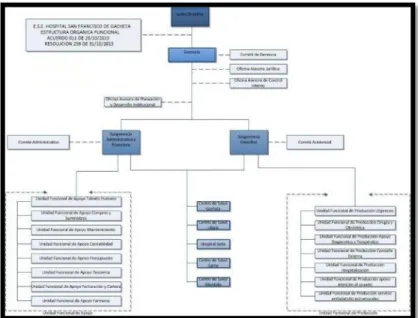 Figura 2. Organigrama gerencia de la información 