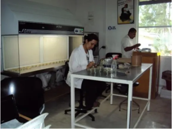 Figura  12.  Pruebas  microbiológicas  en  laboratorio. 