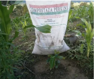 Figura 22. Aporte de compost.  