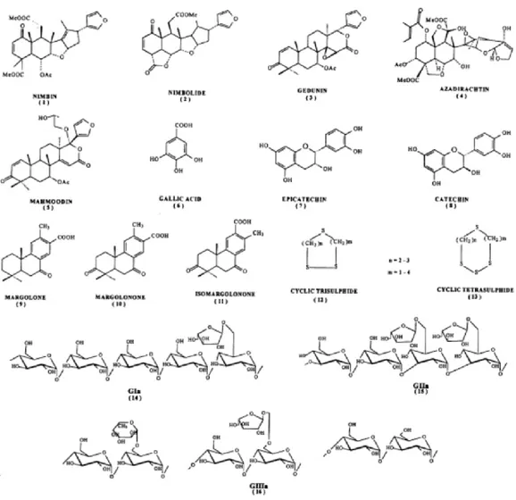 Figura 5: Estructura de los compuestos Bioactivos del Neem. (Kausik et al., 2002) 