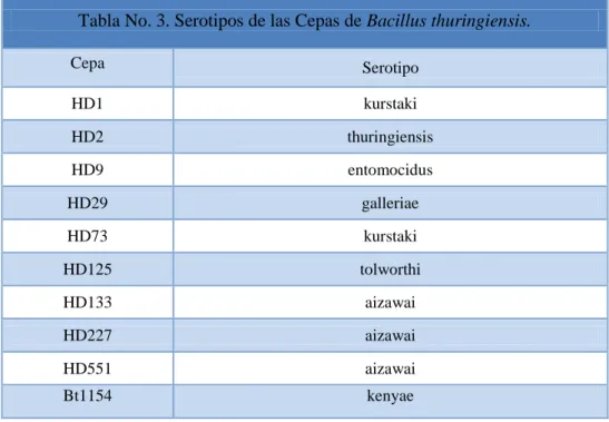 Tabla No. 3. Serotipos de las Cepas de Bacillus thuringiensis. 