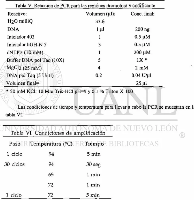 Tabla V. Reacción de PCR para las regiones promotora y codificante  Reactivo: Volumen (|il): Conc