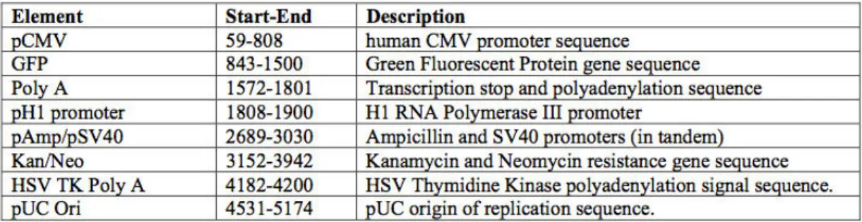 Tabla 3. Elementos del vector pGSH1-GFP 