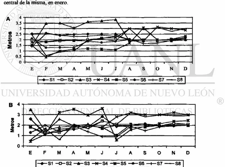 Fig. 5. Variación mensual de la profundidad (m) por sitio de muestreo para 1992 (A) 1993(B) 