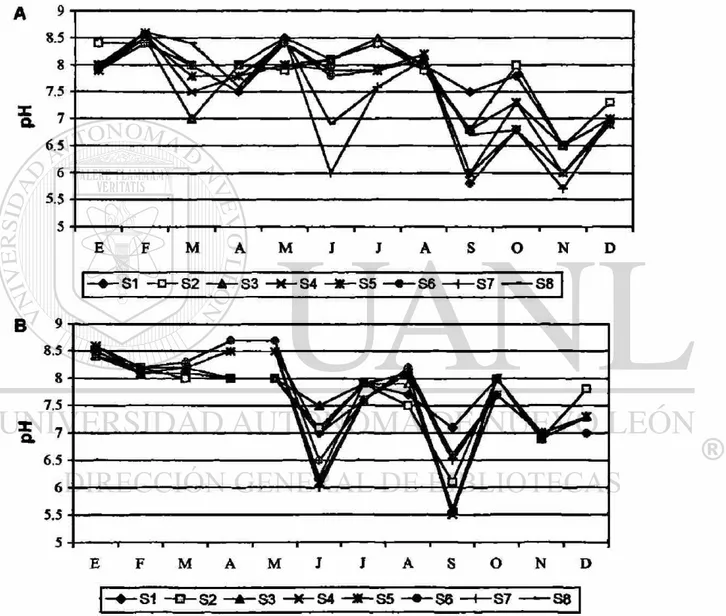Figura 10. Variación mensual del Potencial Hidrogeno por sitio de muestreo 1992 (A) y 1993 