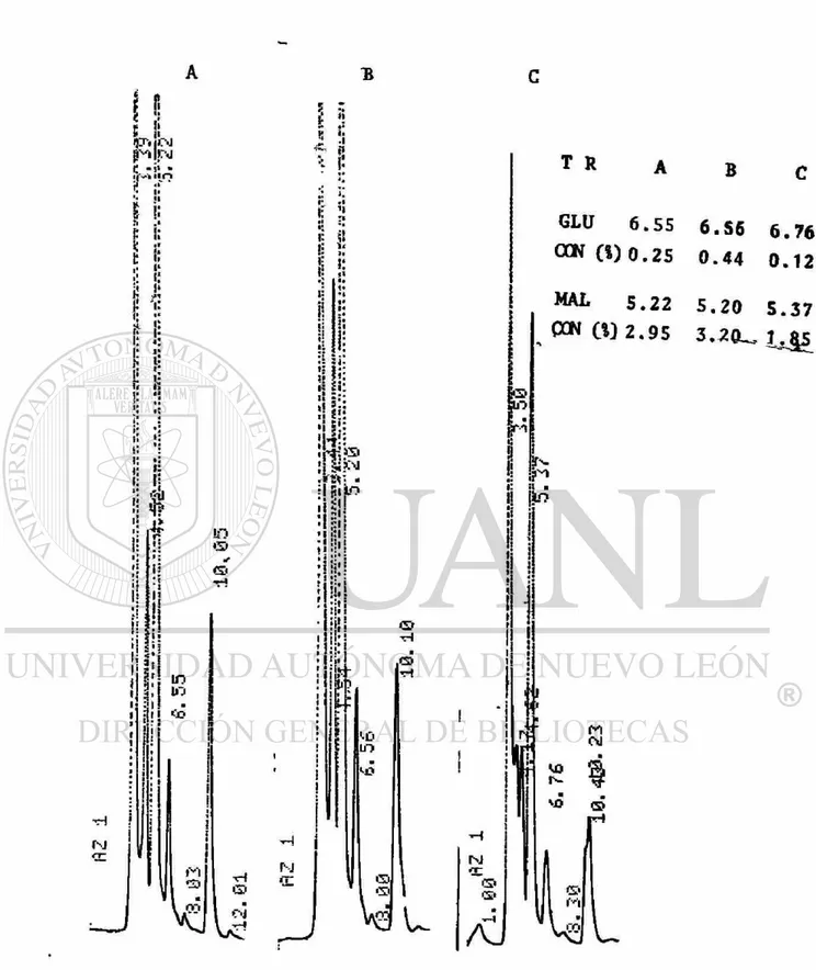 Figura 20.- Comparación del efecto de la a-amilasa de B, ce*eu¿  FCB«UANL y una o^amilasa comercial sobre la macera  ción malta: cebada