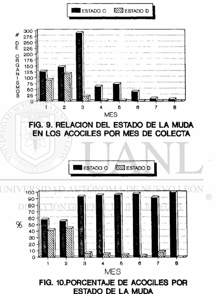 FIG. 9. RELACION DEL ESTADO DE LA MUDA  EN LOS ACOCILES POR MES DE COLECTA 