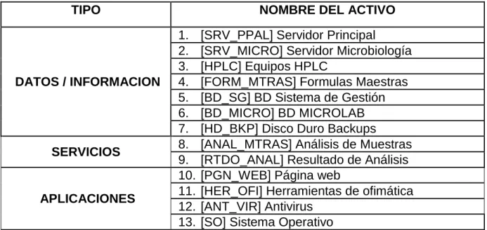 Tabla 4. Identificación de Activos. 