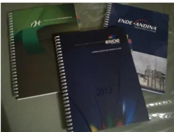 FIGURA 4. Agendas 