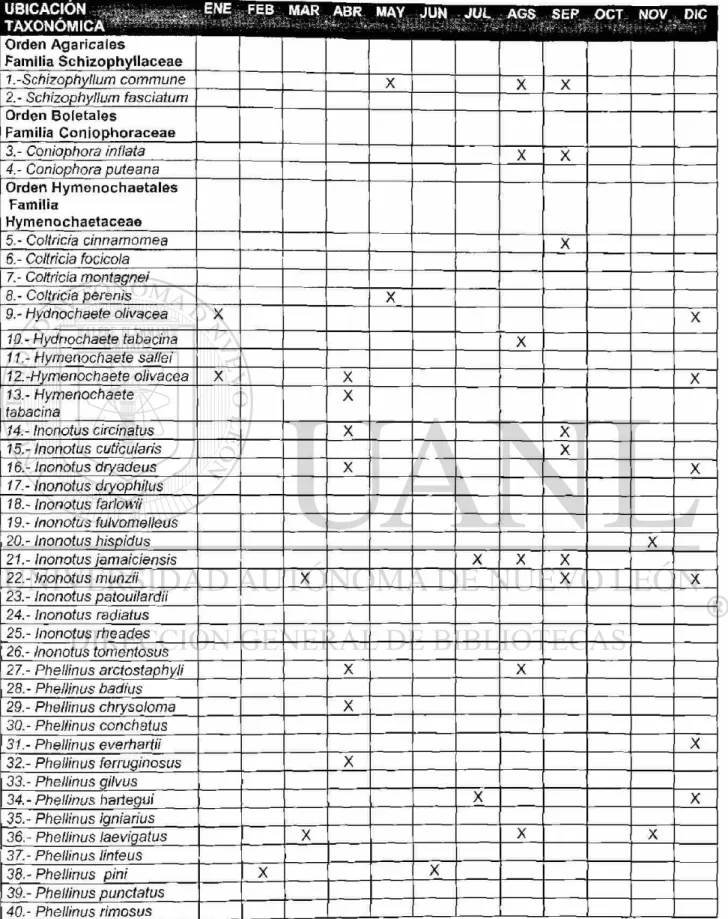 Tabla 9. Fenología de las especies estudiadas del estado de Chihuahua 