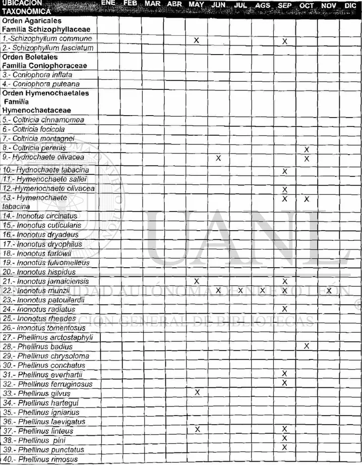 Tabla 10. Fenología  d é l a s especies estudiadas del estado de Coahuíla 