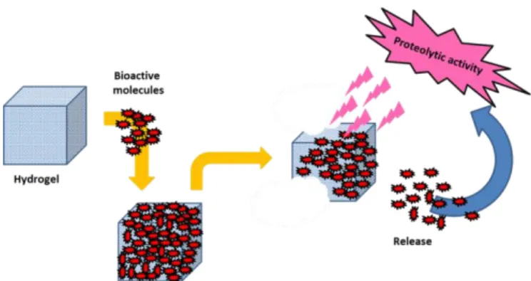 Figure  5.  Bioactive  molecule  delivery  triggered  by 