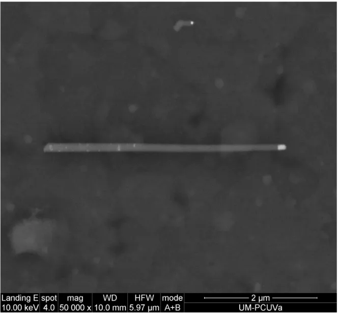 Figure 1. Backscattering SEM image of a typical Si/InAs heterostructured NW. The InAs  segment can be detected on the right side as a brighter region on the NW