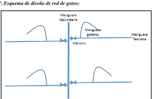 Figura 07: Esquema de diseño de red de goteo;  