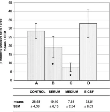 Fig. 3. Quantitative analysis of neuroepithelial cells undergoing neural differentiation measured by the number of ␤3-tubulin-positive cells