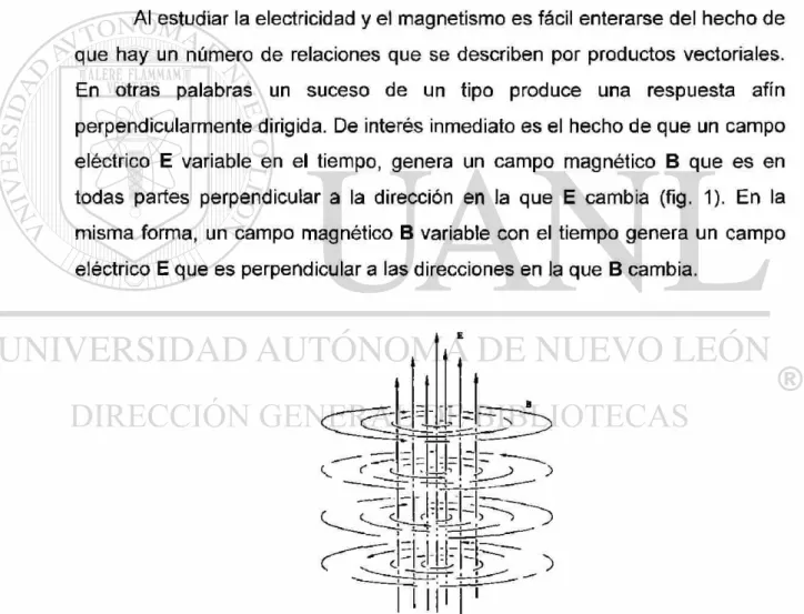 Figura 1. Campo magnético inducido por la acción de un campo eléctrico  variable con el tiempo 