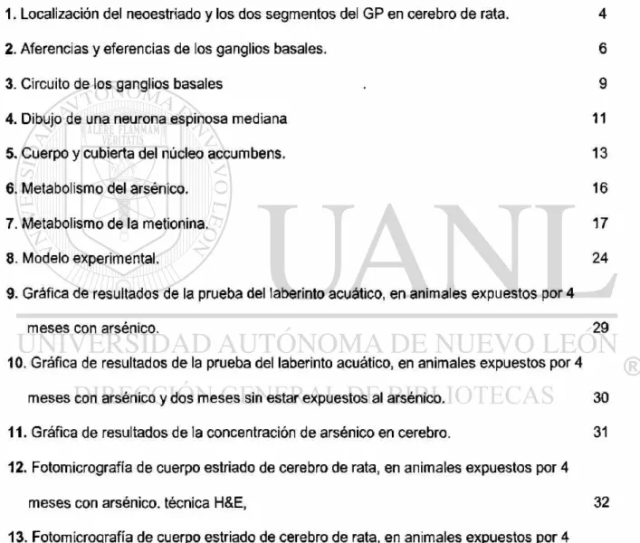 FIGURA Página 