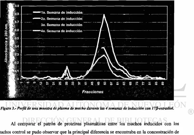Figura 3.- Perfil de una muestra de plasma de macho durante las 4 semanas de inducción con 17fi-estradiol