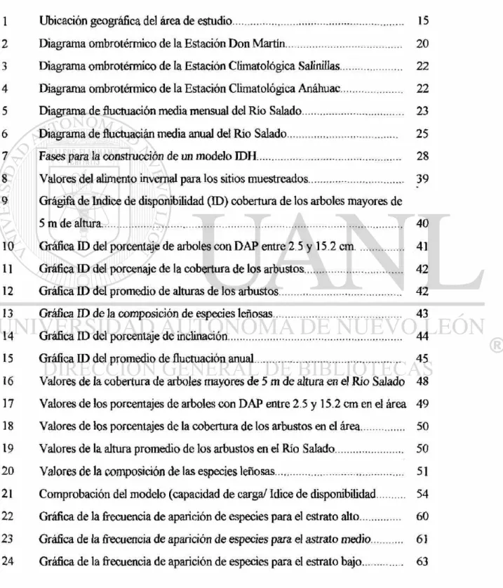 Figura Página 