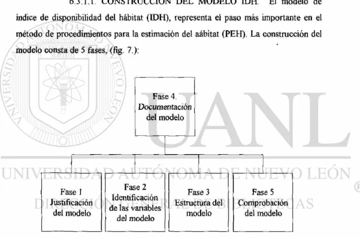 Fig. 7 Fases para la construcción de un modelo  de 