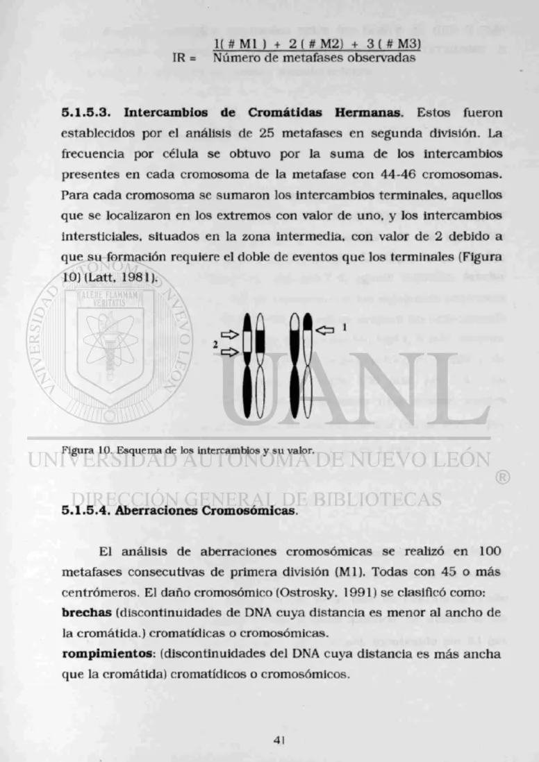 Figura 10. Esquema de los intercambios y su valor. 