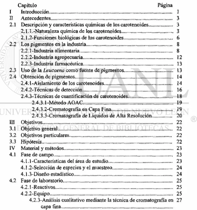 TABLA DE CONTENIDO 