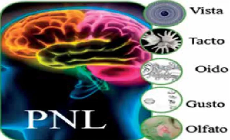 Figura 2. Los sentidos codifican las experiencias  a través de la percepción de las mismas