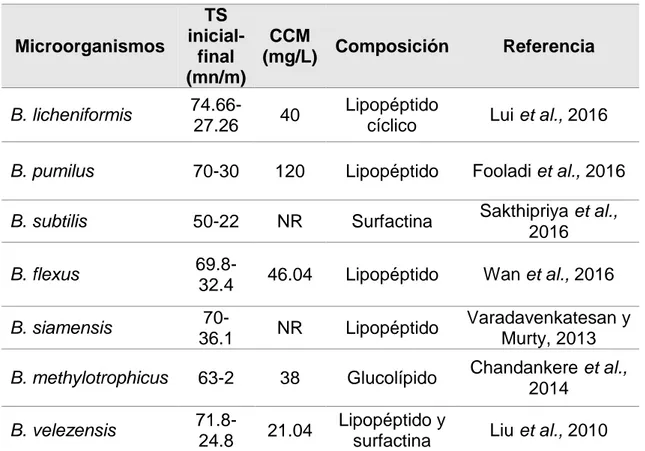 Tabla 3. Especies de Bacillus productoras de biosurfactantes. 