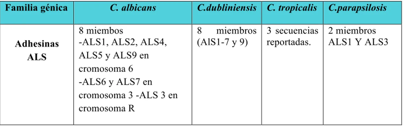 Tabla 2. Genes ALS reportados en la literatura de algunas especies del género Candida