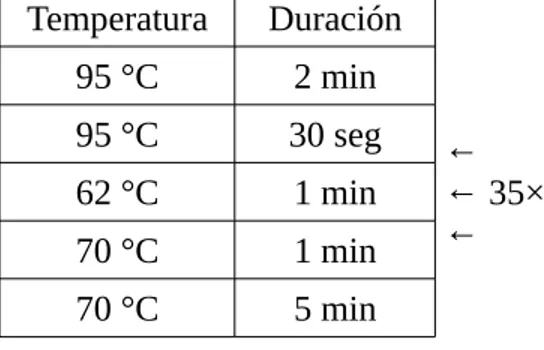 Tabla 4: Oligonucleótidos utilizados para amplificar Scr y sus mutantes en pNPAC mediante el uso del vector pCR2.1-TOPO