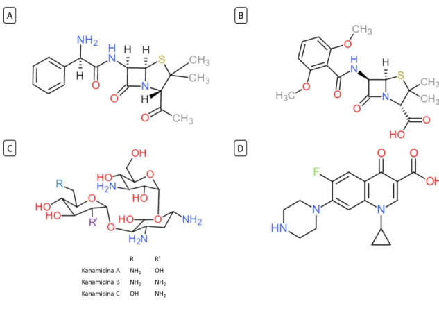 Figura  2.  Estructuras  de  antibióticos.  Representación  en  2D  de  la  estructura  de  algunos  antibióticos,  A  y  B:  corresponden a las estructuras de ampicilina y meticilina respectivamente, dos antibióticos beta-lactámicos derivados  de  la  pen