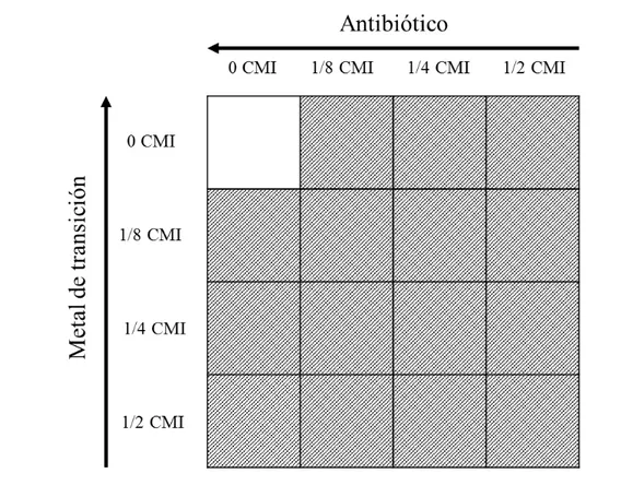 Figura  4. Combinaciones de prueba típicas para ensayos checkerboard de un componente x (antibiótico) y  un componente y (metal de transición)