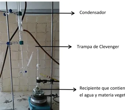 Figura 6. Equipo de hidrodestilación a nivel laboratorio. 